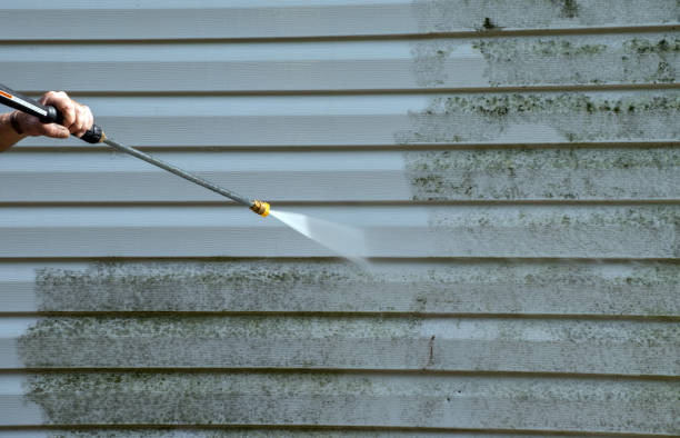 Best Spring Cleaning  in Stuart, VA